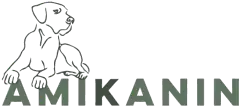 Amikanin